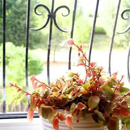 Gæstehus Irena Family House *