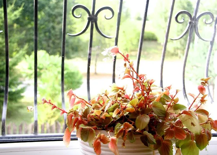 Svečių namai Irena Family House *